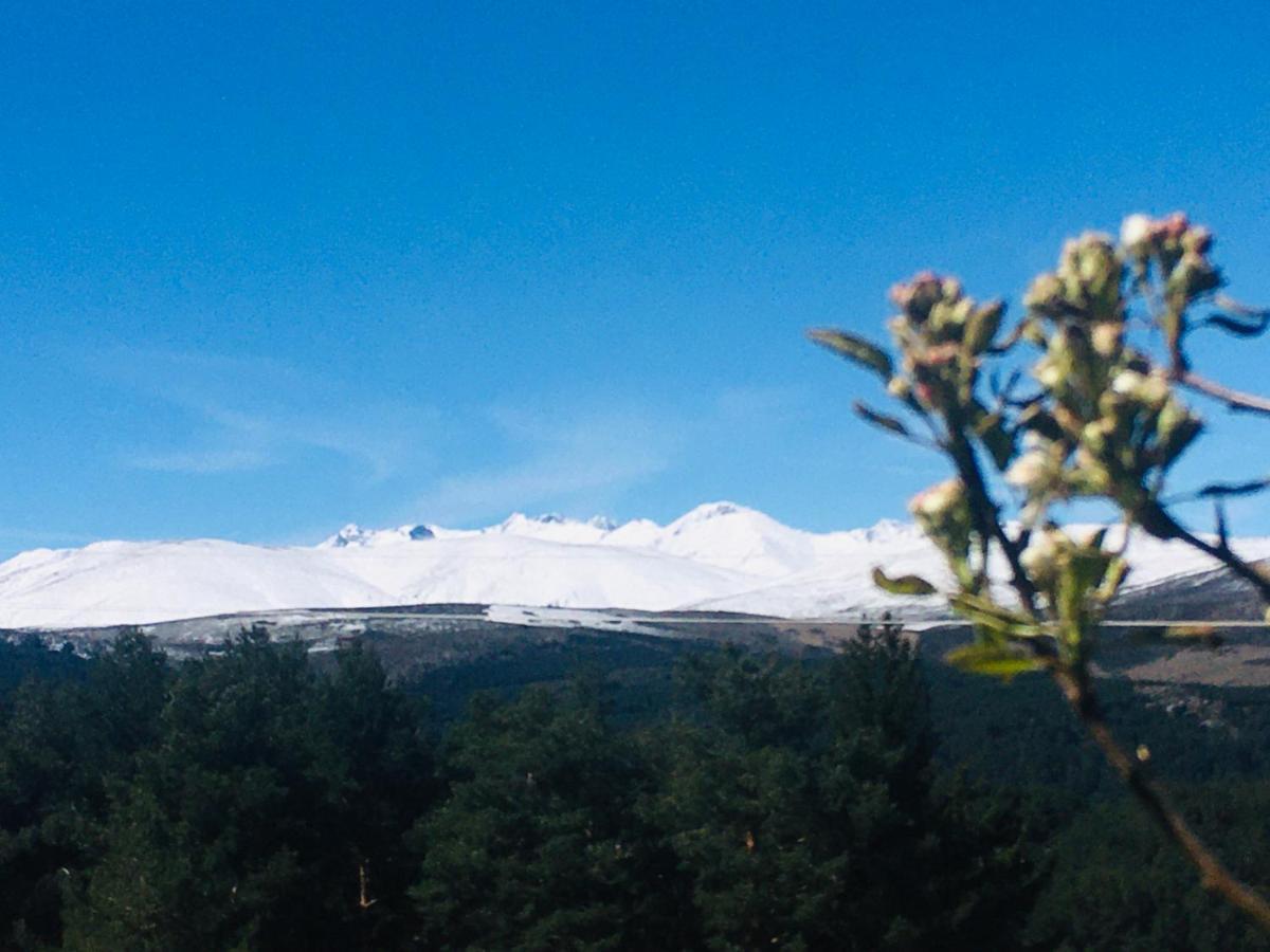 Cara Norte De Gredos Ойос-дель-Эспино Экстерьер фото